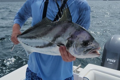 Proline Super Sport 27' - Taboga Island - Full-day private charter