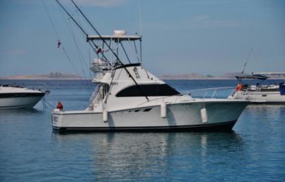 Alquiler Lancha Luhrs 32 Mali Losinj