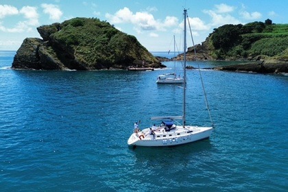 Sailing Tour 8 (hours)