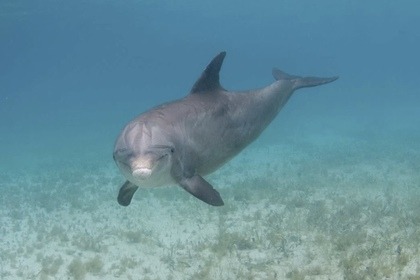 Luxury Catamaran 44 “Providenciales Turks & Caicos island