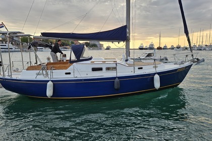 Chris Craft Caribbean 35