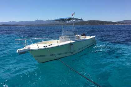 Rental Motorboat White Shark Barca a motore Portisco