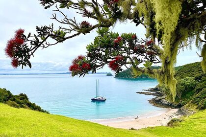 Luxury Sailing Catamaran - Cool Change - Kelsall 54