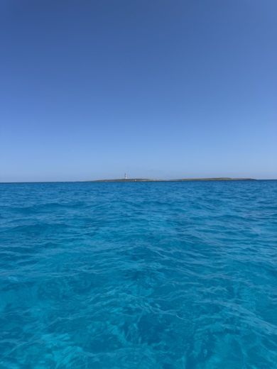 Маон Motorboat Quicksilver Activ 675 Open alt tag text