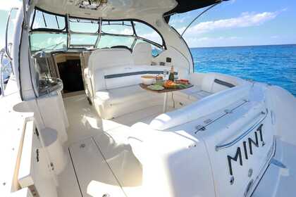 Searay 40 ft sundancer