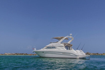 Sea Ray 450
