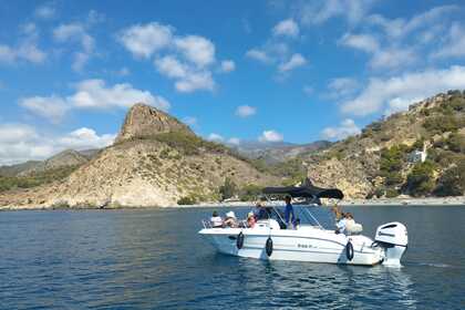 Alquiler Lancha Mingolla Brava 25 WA La Herradura