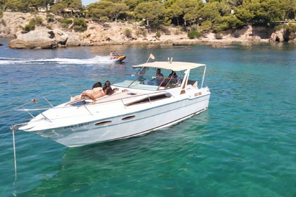 Sea Ray 300 weekender