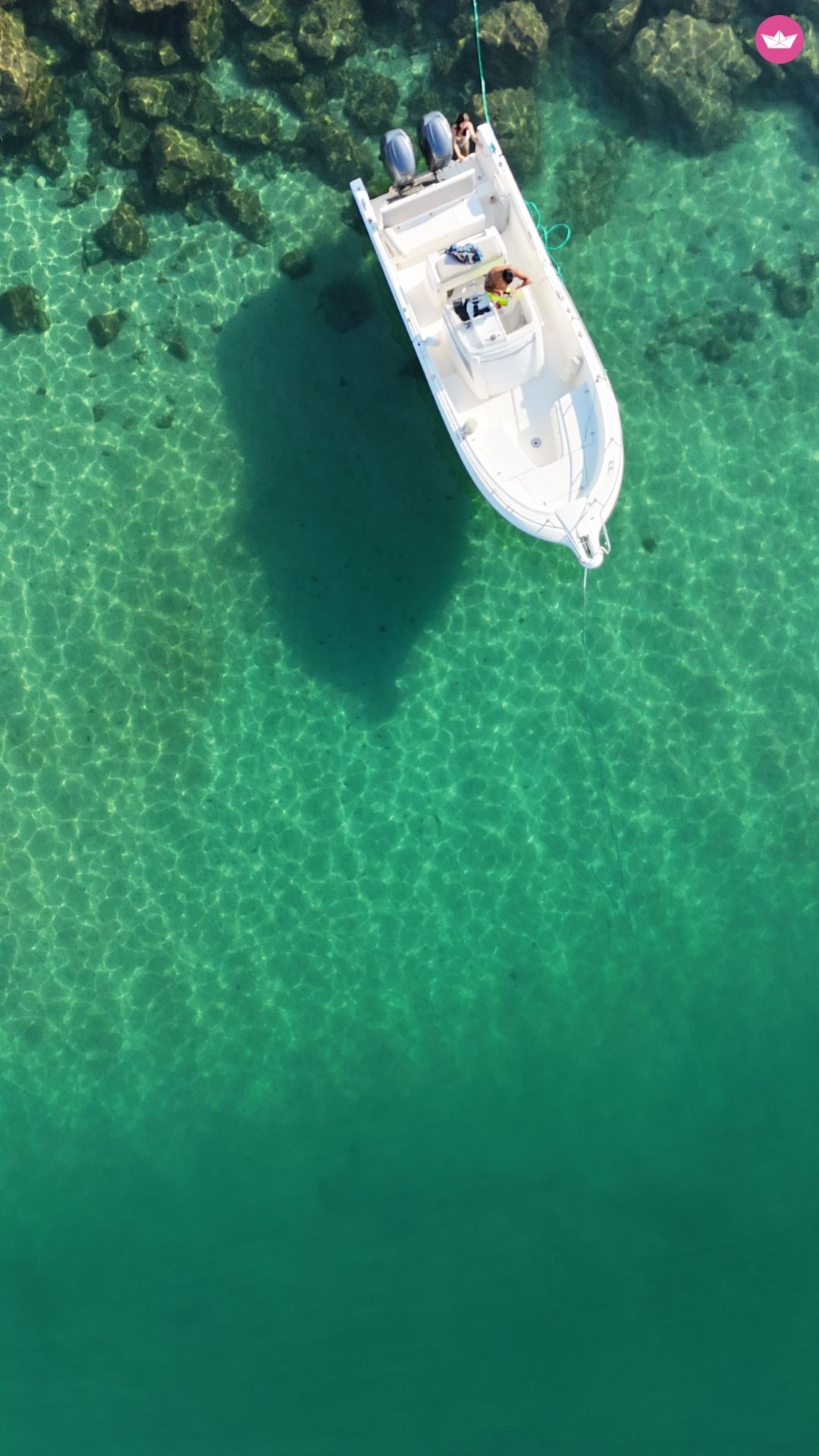 White Shark 245