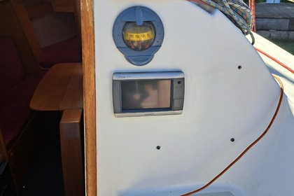 Janmor 28 sy Palomino Zalew wiślany.