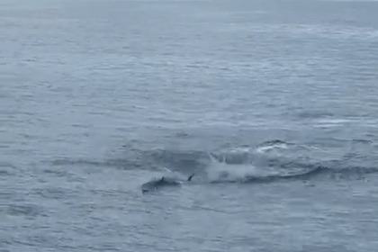 FAIRLINE SQUADRON 19 METRES