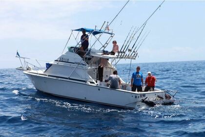 Miete Motorboot Bertram 28 Santa Cruz de Tenerife