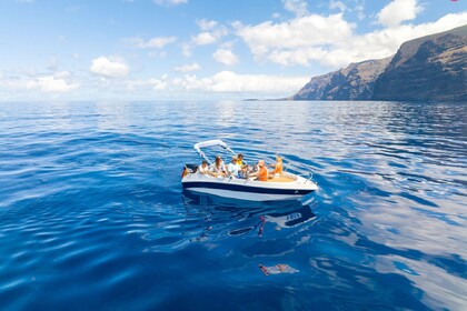 Чартер Моторная яхта ARIA YACHTS CINQUE 10 OPEN Лос-Кристианос