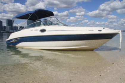 Rental Motorboat Sea Ray 240 Sundeck Miami