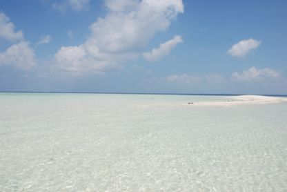 Charter Motorboat Bavaria 41 Cruiser Gallipoli