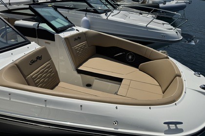 Charter Motorboat Sea Ray 230 Spx Cavalaire-sur-Mer