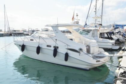 Miete Motorboot Sealine S 41ht Scarlino
