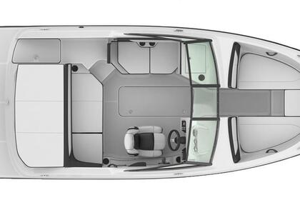 Sea Ray SPXE190 (mit Skipper)