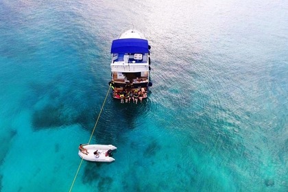 Charter Motorboat WAVE RUNNER 50 Athens