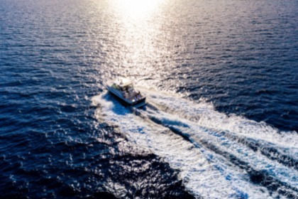 Pursuit 3400 "Express" 12 metres