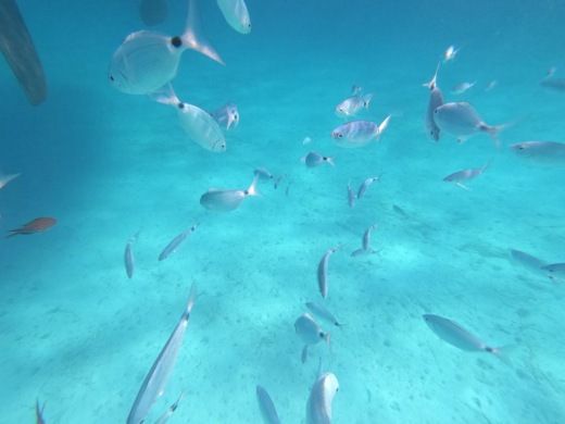 La Maddalena Sailboat Dufour 425 Gran Large alt tag text