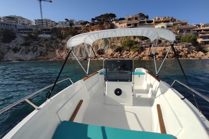 Boat rental without license in Santa Ponsa