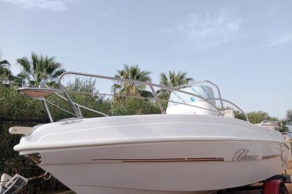 Diva - Blumax Beaje - Verhuur