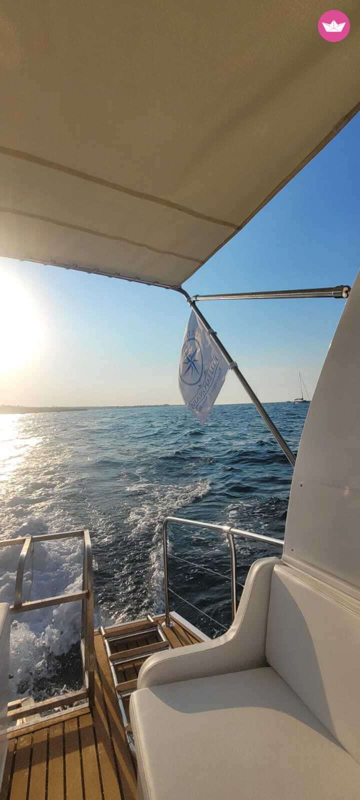 Bateau sans permis Trimarano alvi 40cv 4