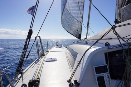 Catamaran TS42 rapide confortable et sportif