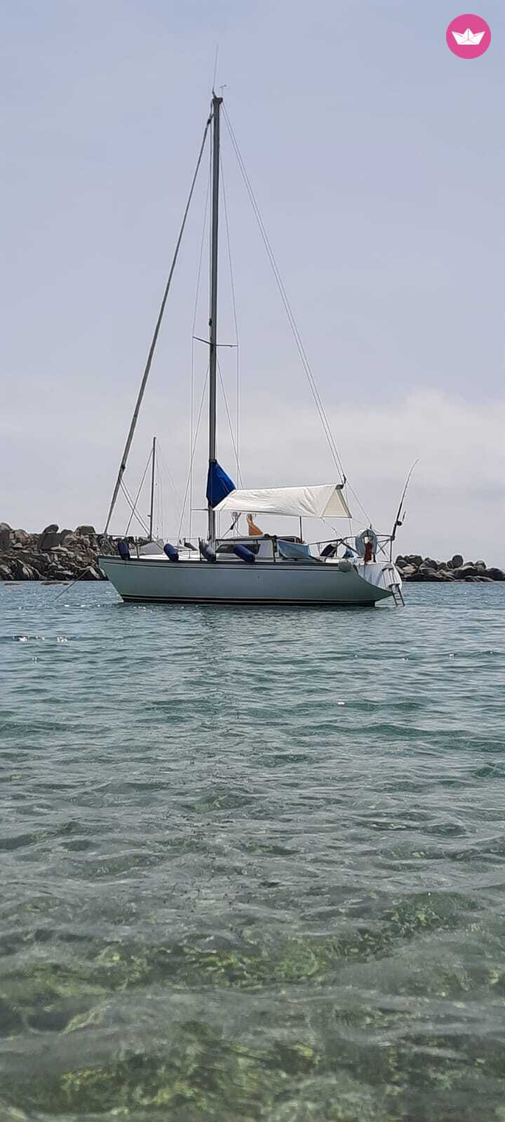 Voilier Barberis Sciacchetra' 8m 3