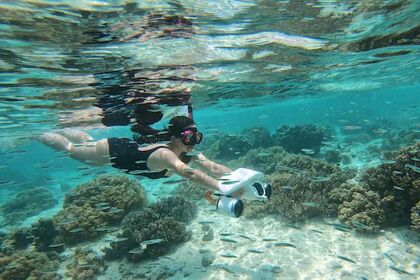 Quicksilver Open 605 Cannes