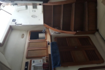 Fahren Sie dieses Motorboot mit 800 in Região dos