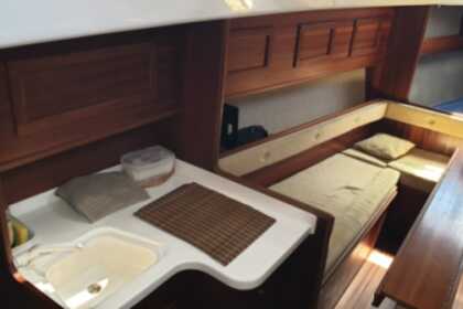 Daily/evening sailing cruise with breathtaking views of Mount Etna (price per person)