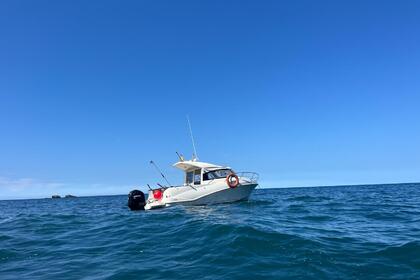 Alquiler Lancha Quicksilver 640 Week-end Gijón