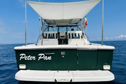 Pursuit 3400 "Express" 12 metres