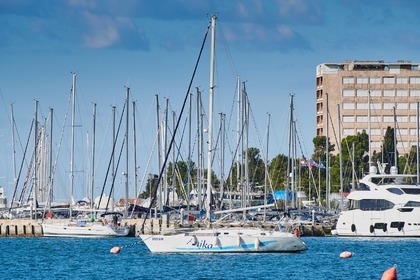 Sas Vektor 401, Anika