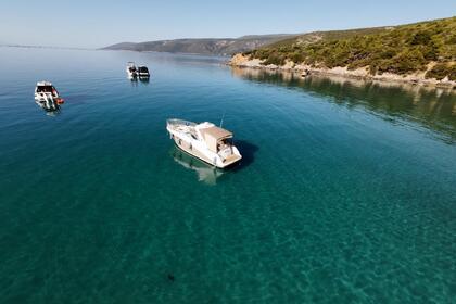 Charter Motorboat Sea Ray Sea Ray 325 İzmir