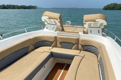 Bote deportivo de lujo hasta 20 personas
