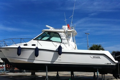 Rental Motorboat BOSTON WHALER BOSTON WHALER FISHERMAN Torre Pali