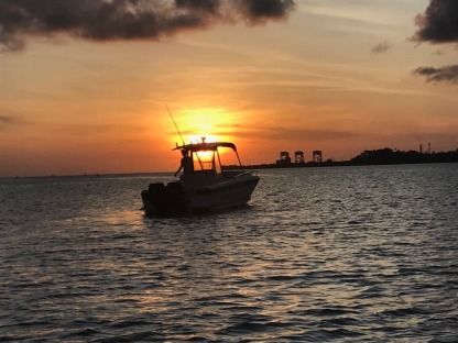 Location Bateau à moteur Intrepid 322 Cuddy Fort-de-France