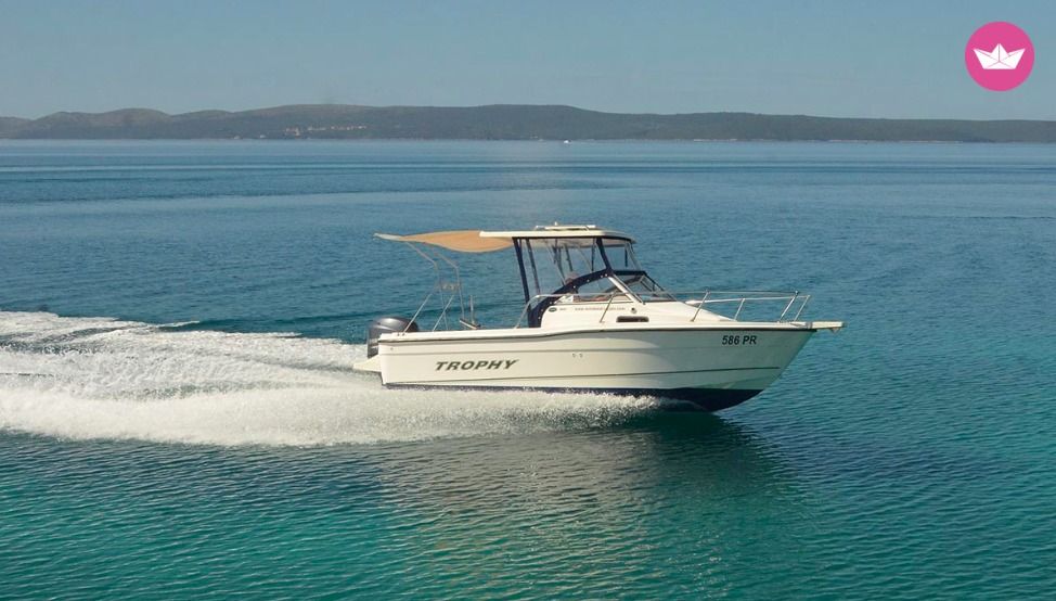 Charter Motorboat Bayliner Trophy 1802 Ugljan