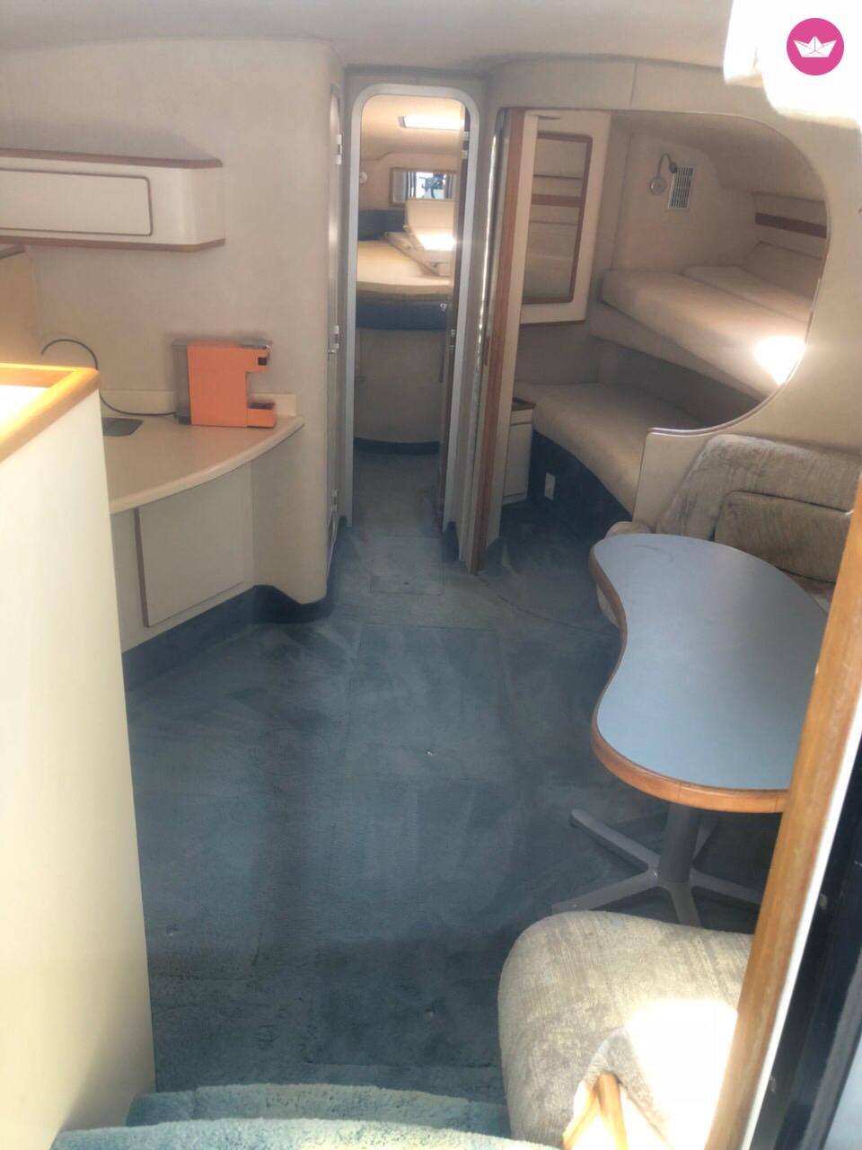 Sea Ray 455 in Athens for rental