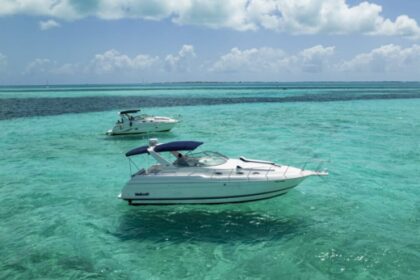 Rental Motorboat wellcraft martinique Cancún
