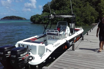 Rental Motorboat BAJA sportfish Le François