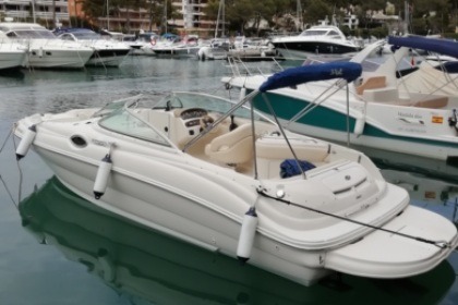 Charter Motorboat Sea Ray 240 Sundeck Santa Ponsa