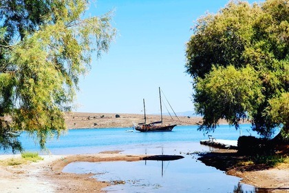 Miete Gulet Gulet 72ft Mykonos