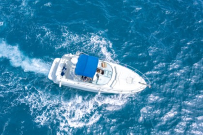Rental Motorboat SEA RAY AMBERJACK 290 Marbella
