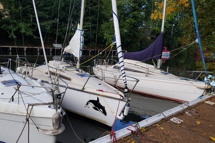 Ultramar Orque 70 QR  Sans Permis