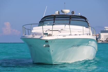 Naviga con stile: Sea Ray Sundancer