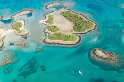 A true sailing experience!